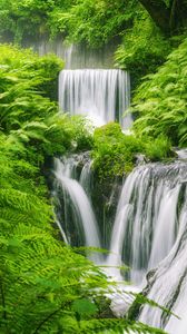 Preview wallpaper waterfall, landscape, plants, nature