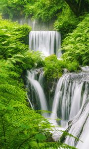 Preview wallpaper waterfall, landscape, plants, nature