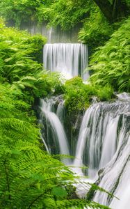 Preview wallpaper waterfall, landscape, plants, nature