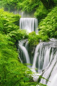 Preview wallpaper waterfall, landscape, plants, nature