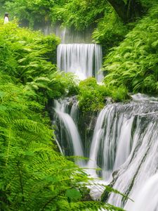 Preview wallpaper waterfall, landscape, plants, nature