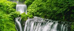 Preview wallpaper waterfall, landscape, plants, nature