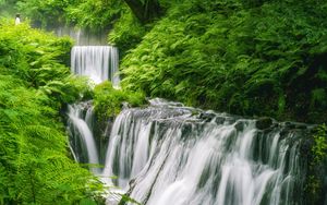 Preview wallpaper waterfall, landscape, plants, nature