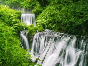 Preview wallpaper waterfall, landscape, plants, nature
