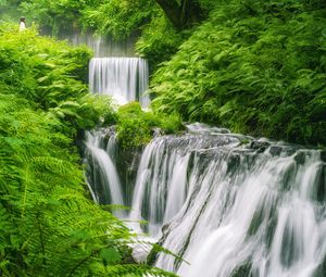 Preview wallpaper waterfall, landscape, plants, nature