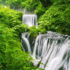 Preview wallpaper waterfall, landscape, plants, nature