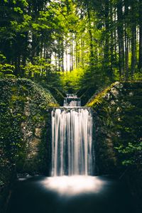 Preview wallpaper waterfall, landscape, plants, trees, bushes