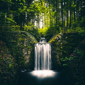 Preview wallpaper waterfall, landscape, plants, trees, bushes