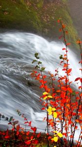 Preview wallpaper waterfall, leaves, fall, for