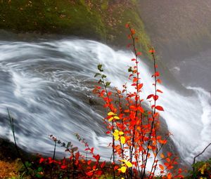 Preview wallpaper waterfall, leaves, fall, for