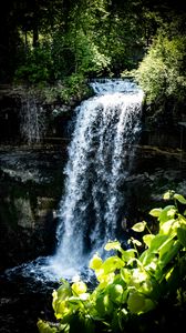 Preview wallpaper waterfall, leaves, plants, rocks