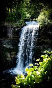 Preview wallpaper waterfall, leaves, plants, rocks