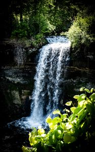 Preview wallpaper waterfall, leaves, plants, rocks