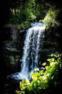 Preview wallpaper waterfall, leaves, plants, rocks