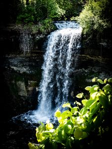 Preview wallpaper waterfall, leaves, plants, rocks