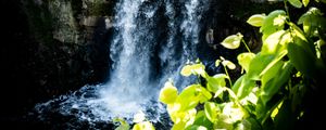 Preview wallpaper waterfall, leaves, plants, rocks