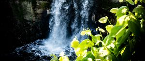 Preview wallpaper waterfall, leaves, plants, rocks