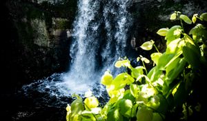 Preview wallpaper waterfall, leaves, plants, rocks