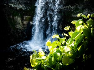 Preview wallpaper waterfall, leaves, plants, rocks