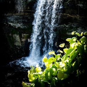 Preview wallpaper waterfall, leaves, plants, rocks