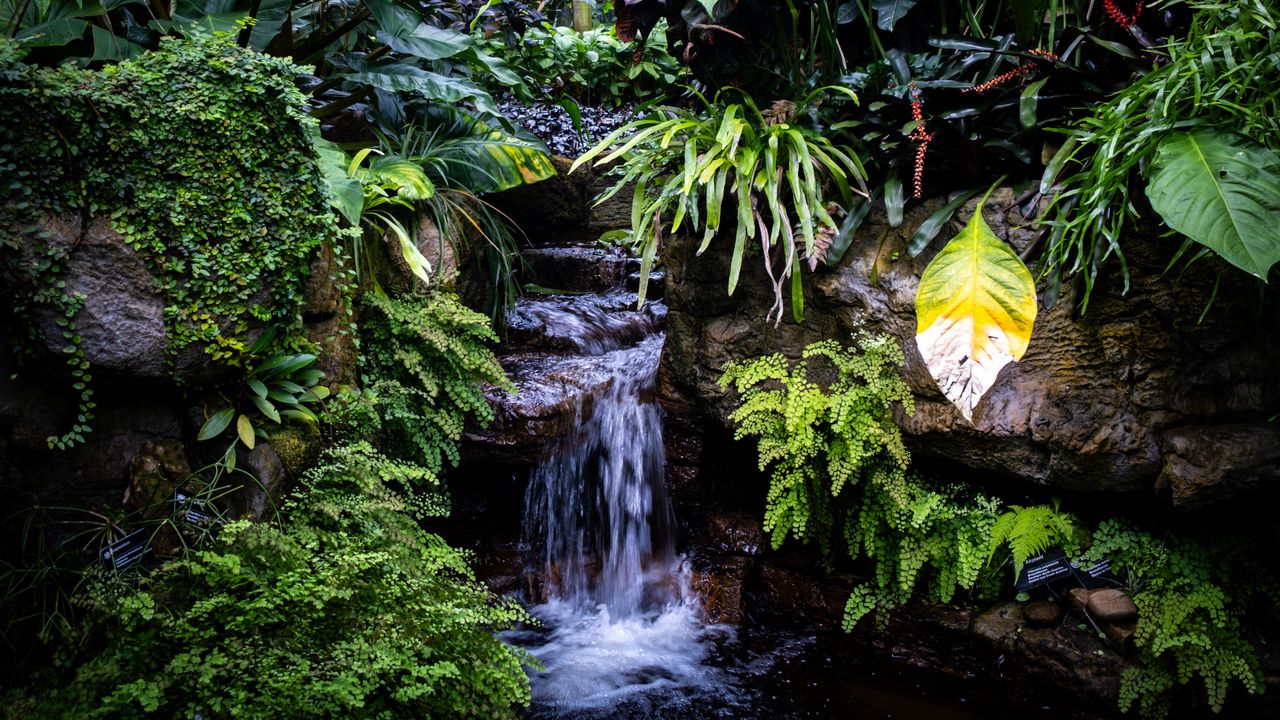 Wallpaper waterfall, leaves, trees, bushes, greenery, nature
