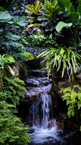 Preview wallpaper waterfall, leaves, trees, bushes, greenery, nature