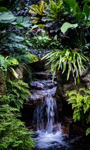 Preview wallpaper waterfall, leaves, trees, bushes, greenery, nature