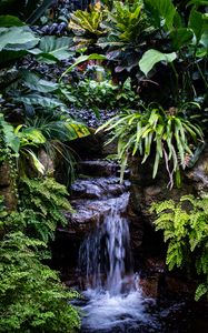 Preview wallpaper waterfall, leaves, trees, bushes, greenery, nature