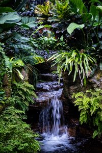 Preview wallpaper waterfall, leaves, trees, bushes, greenery, nature