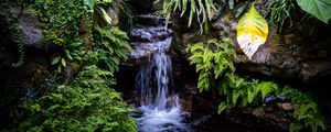 Preview wallpaper waterfall, leaves, trees, bushes, greenery, nature