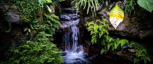Preview wallpaper waterfall, leaves, trees, bushes, greenery, nature