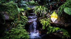 Preview wallpaper waterfall, leaves, trees, bushes, greenery, nature