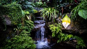 Preview wallpaper waterfall, leaves, trees, bushes, greenery, nature