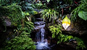 Preview wallpaper waterfall, leaves, trees, bushes, greenery, nature
