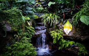Preview wallpaper waterfall, leaves, trees, bushes, greenery, nature