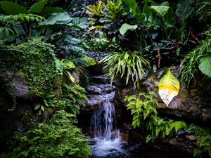 Preview wallpaper waterfall, leaves, trees, bushes, greenery, nature