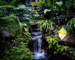 Preview wallpaper waterfall, leaves, trees, bushes, greenery, nature
