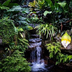 Preview wallpaper waterfall, leaves, trees, bushes, greenery, nature