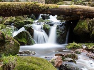 Preview wallpaper waterfall, log, stones, nature