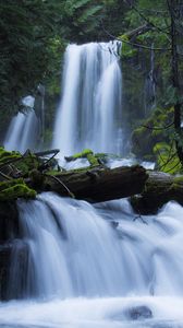 Preview wallpaper waterfall, moss, forest, trees