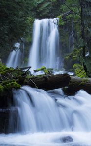 Preview wallpaper waterfall, moss, forest, trees