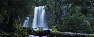 Preview wallpaper waterfall, moss, forest, trees