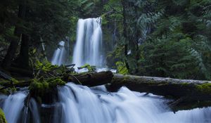 Preview wallpaper waterfall, moss, forest, trees