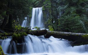 Preview wallpaper waterfall, moss, forest, trees