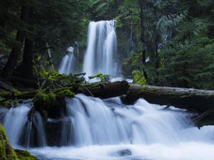 Preview wallpaper waterfall, moss, forest, trees