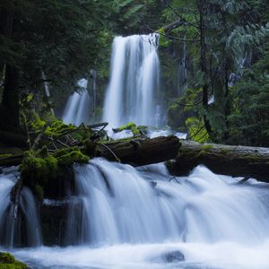 Preview wallpaper waterfall, moss, forest, trees