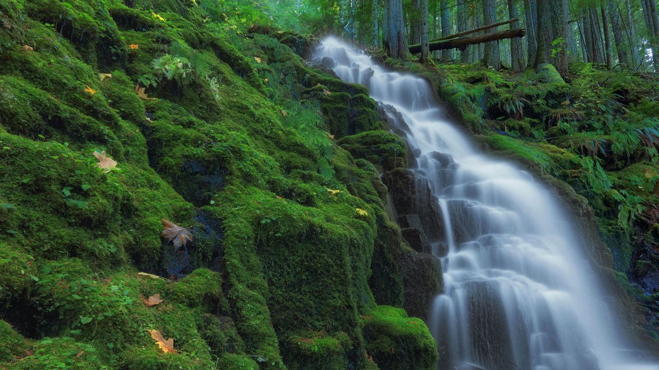 Wallpaper waterfall, moss, landscape, nature