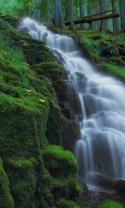 Preview wallpaper waterfall, moss, landscape, nature