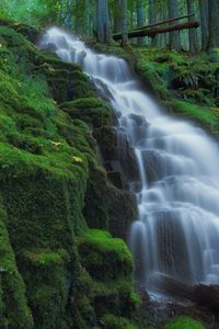 Preview wallpaper waterfall, moss, landscape, nature