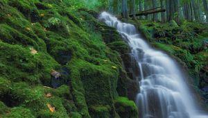 Preview wallpaper waterfall, moss, landscape, nature